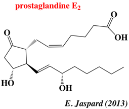 eicosanoid leucotriene prostaglandine acide arachidonique arachidonic membrane transmembranaire phospholipide MAPEG biochimej
