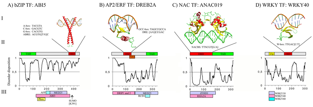 facteur transcription factor DREB WRKY DNA binding domain abiotic biotic stress plant biochimej