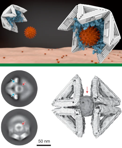 virus infection adn arn coronavirus SARS CoV CoV2 COVID-19 2019-nCoV nanomaterial nanomateriaux biomimetique membrane polymere vaccin biochimej