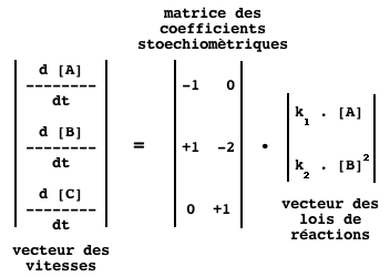 Matrice stoechiometrique stoichiometric matrix reaction rate flux balance biochimej