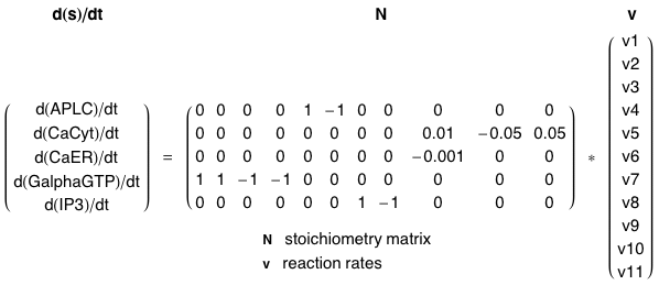 stoechiometric matrix modele oscillation calcique genome-scale metabolic network reconstruction modelling GENRE