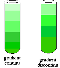 centrifugation gradient densite saccharose electrophorese chromatographie biochimej