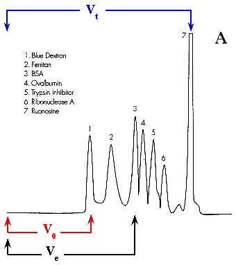 masse molaire protein separation purification gel filtration chromatographie electrophorese biochimej