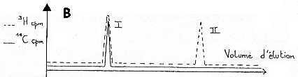 chlorure dansyle chromatographie echange cation peptide hormonal marquage radioactif iodiacetate iodoacetamide chromatography fingerprinting hormone lysine biochimej