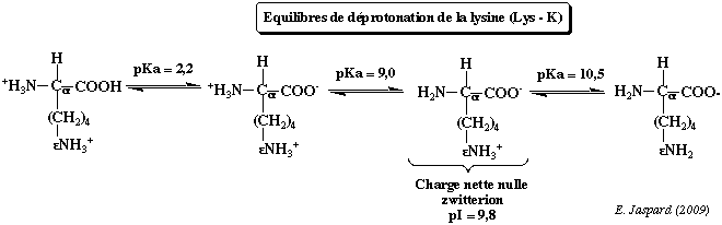 Equilibre deprotonation lysine pK ionisation groupement acide base alimentation lysine amino acid protonation equilibrium Henderson Hasselbalch titration pKa biochimej