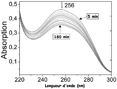 Spectrophotometrie Loi Beer Lambert spectre absorption molecule ultraviolet visible absorbance biochimej