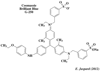 Structure Coomassie reactif Bradford Dosage colorimetrique proteine gamme etalon protein assay spectrophotometry biuret lowry biochimej
