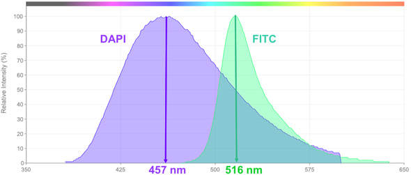interactome protein interaction transfert fluorescence absorption emisssion energie chevauchement spectre DAPI FITC biochimej