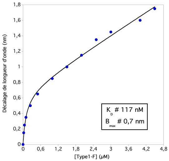 interaction proteine protein binding site fixation ligand constante equilibre equilibrium BiFC ITC SPR BLI isotherme isothermal interferometrie biocouche surface plasmon resonance plasmonique biochimej